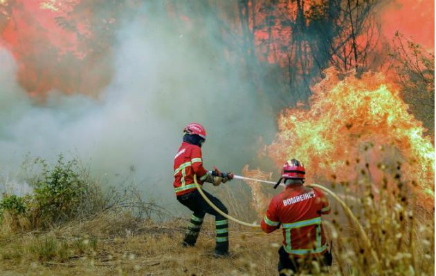 Bomberos tratan de extinguir las llamas del incendio. Foto: EFE