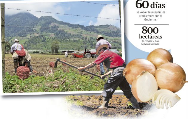El sector agro está en crisis por falta de políticas públicas.
