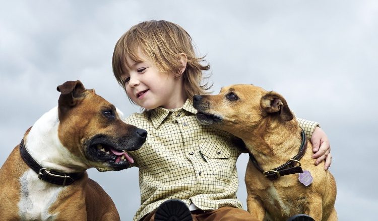 Según investigaciones, los niños que tienen mascotas en el hogar y que los cuidan responsablemente son más felices, sociables y sufren menos de estrés.