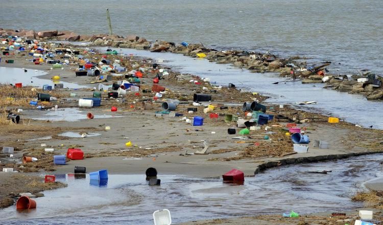 Este año esperan superar los 5,000 voluntarios.