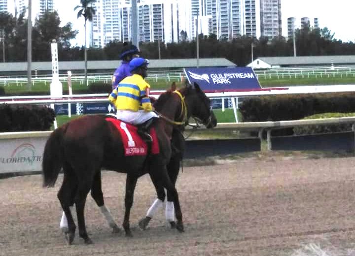 Fray Angélico logró $10 mil por su tercer lugar.