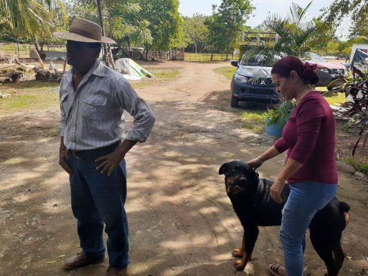 La familia ha perdido seis mascotas, varias de ellas envenenadas. Foto/Thays Dompinguez