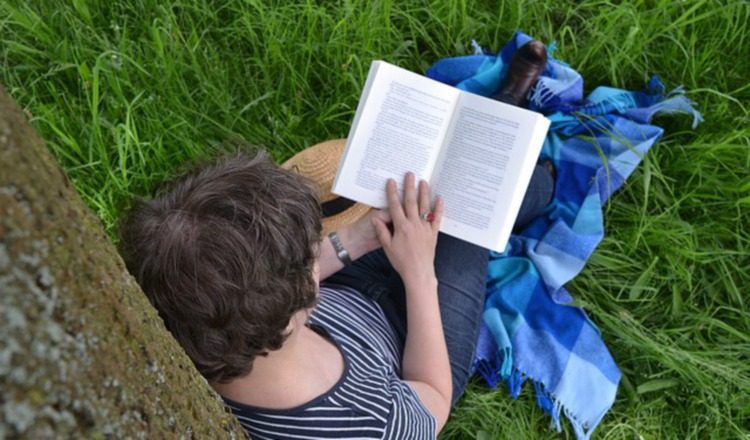 No se pierdan el Primer Festival del arte y del libro, el 18 y 19 de enero en el Parque Omar. Foto: Pixabay