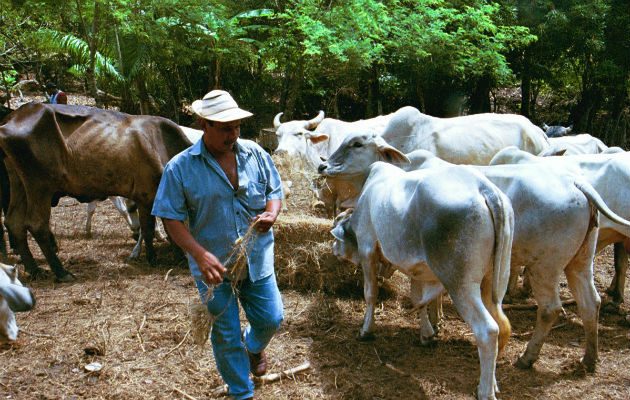La rabia paralítica bovina  es una zoonosis que se transmite al humano cuando el murciélago también chupa sangre de las personas. 