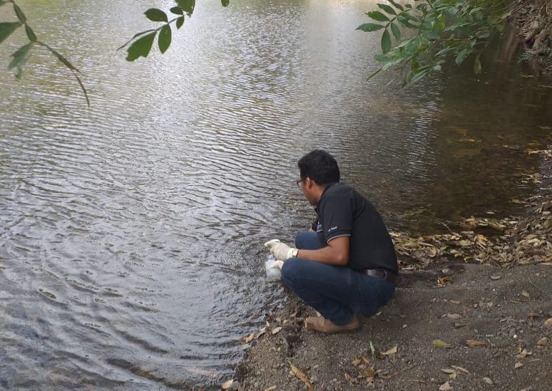 En la parte alta del río Guararé, presenta menos niveles de contaminación, pero existe un proceso de deforestación agresivo, lo que ha provocado que su caudal baje considerablemente. FOTO/Thays Domínguez