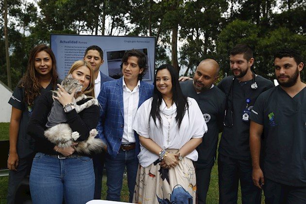 La intervención de "Romeo", un felino de raza Maine Coon y de nueve años de edad, fue practicada por un equipo interdisciplinario conformado por siete personas, entre ellos profesionales de salud humana y de medicina veterinaria.