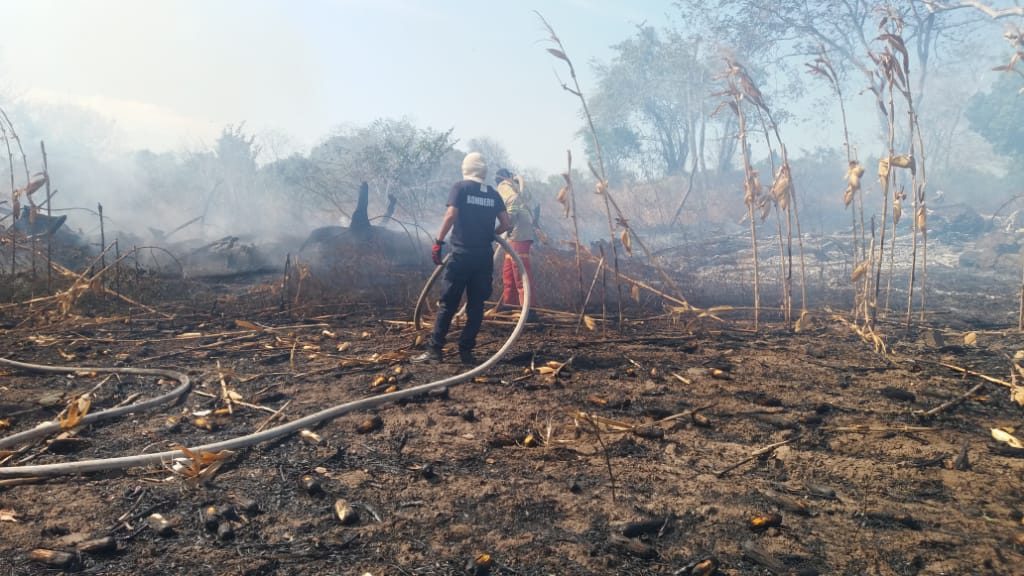 Fue necesario utilizar un tractor para hacer una línea corta fuego, de manera de controlar el incendio y evitar que se siguiera propagando. FOTO/Thays Domínguez
