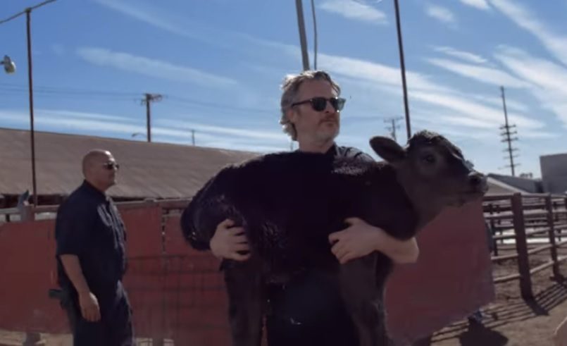 Joaquin Phoenix carga a Indigo. Foto: YouTube