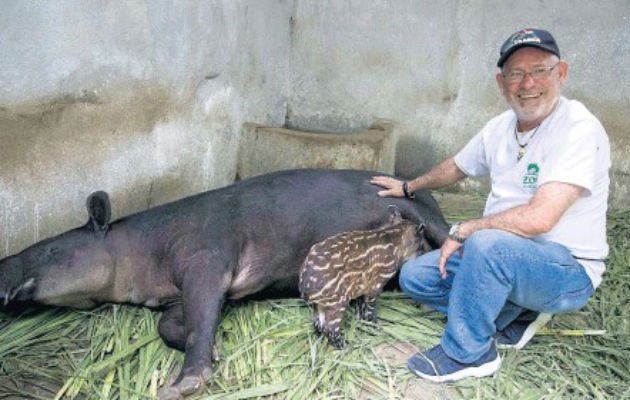 Itzia nuevo residente del Zoológico Nacional de Managua. Foto/EFE