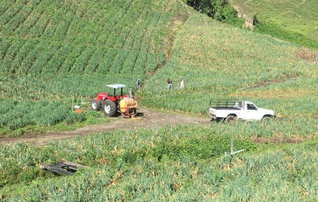 A los productores los afecta la disminución del transporte debido a cierre de comercios. Foto: Archivo/Ilustrativa.