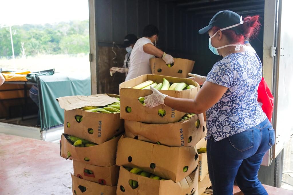 La compra representa un monto total de 14 mil dólares. Foto/Cortesía