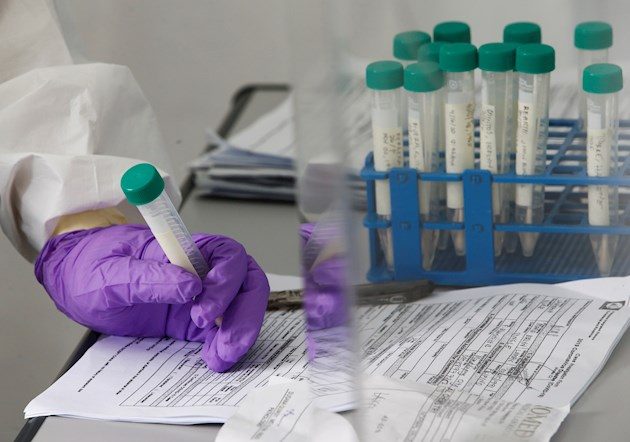 Tedros añadió que la pandemia ha forzado a alejar de las clases alrededor de 1.400 niños, "poniendo a algunos de ellos en un mayor riesgo de abusos", y privando a muchos menores de asistir a escuelas que con frecuencia son su principal acceso a alimentos y cuidados sanitarios.