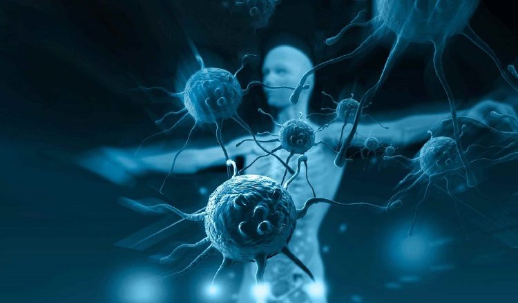 Alrededor de 10 millones de bacterias, hongos y otros microbios viven en nuestro cuerpo. Pixabay