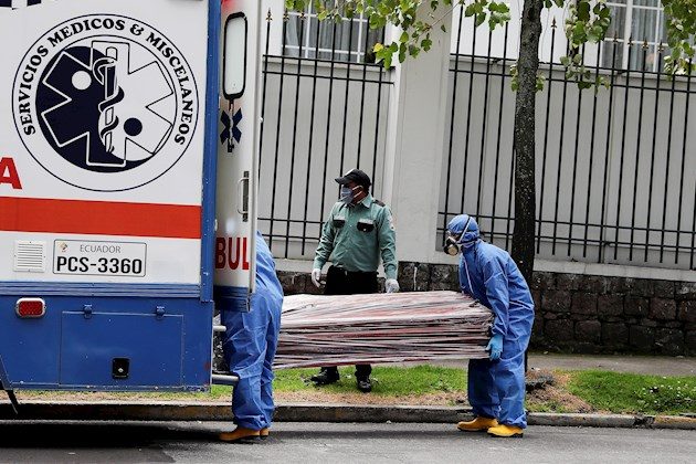 Una vez más, la OMS aclaró que el reservorio natural del virus SARS-CoV-2 eran los murciélagos y que de allí llegó a una especie "intermediaria" desde la que saltó al hombre.