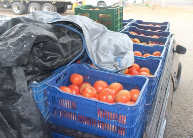 Los cigarrillos no contaban con el debido permiso sanitario. Foto: Mayra Madrid.