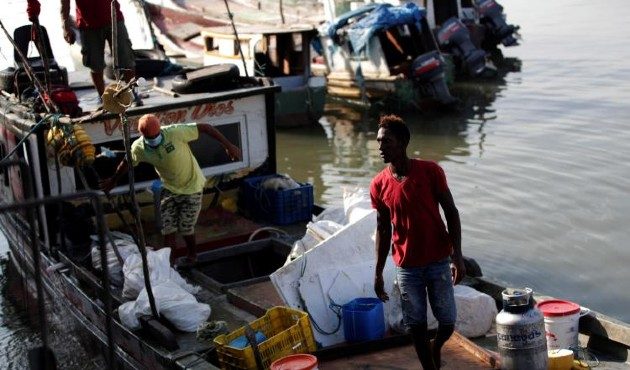 Pescadores desembarcan atún en el muelle multipropósito en la ciudad de Panamá en el inicio de su reactivación económica gradual. EFE