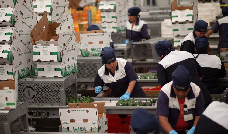 La balanza comercial de estos productos tuvo un repunte del 11.68% en ese periodo. EFE