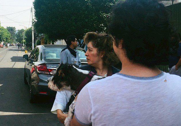 "Los primeros sobrevuelos en la Ciudad de México se reportan sin novedad relevante al momento, no hay derrumbe de edificios", informó en Twitter el secretario de Seguridad Ciudadana de la capital, Omar Garcia Harfuch.