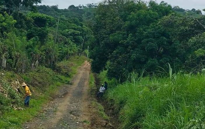 Se le solicita a los ciudadanos de la costa atlántica que eliminen los criaderos del mosquito transmisor del dengue,