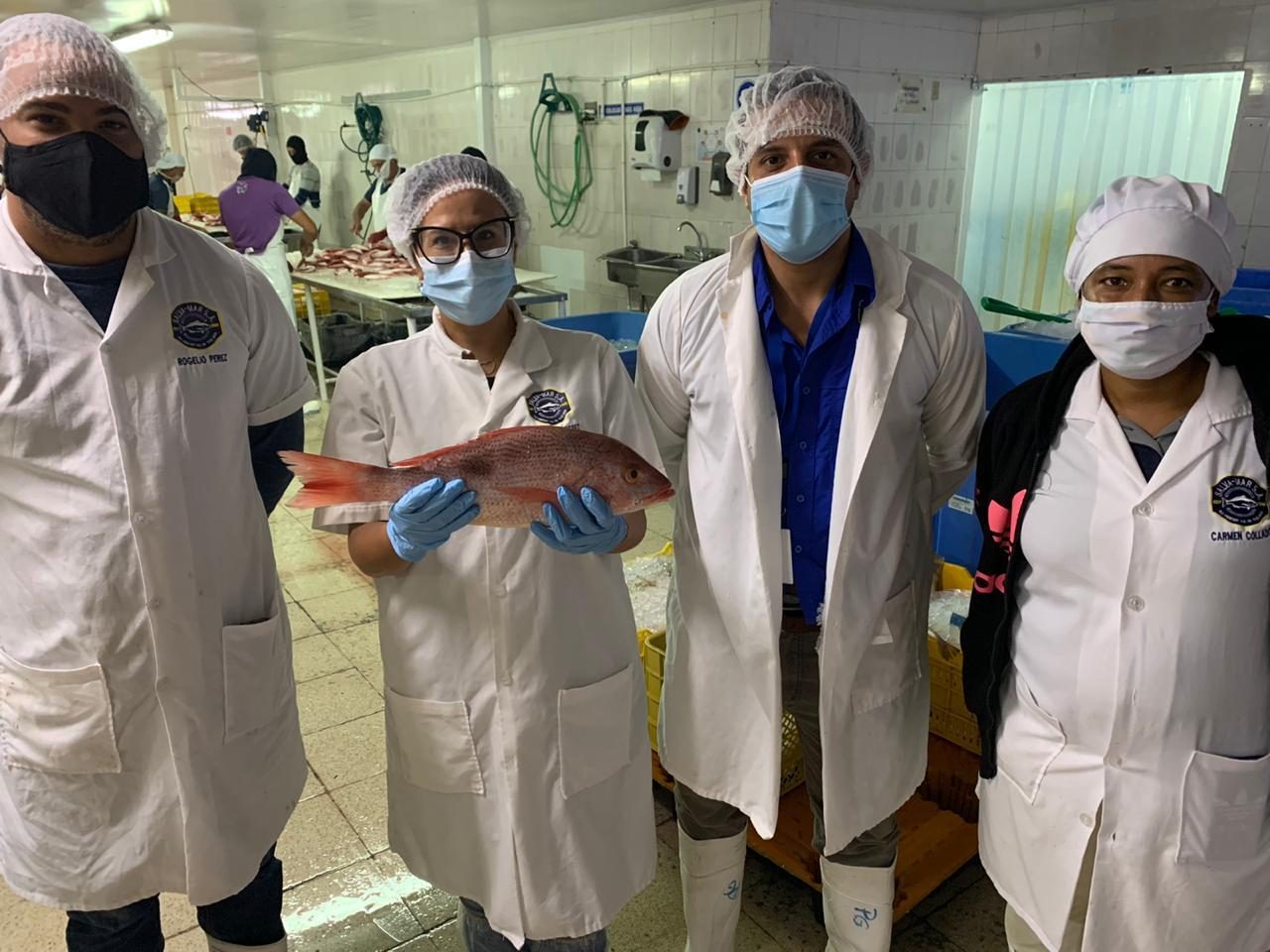 Se trabaja para ejecutar plan de reactivación económica y su incidencia en los pescadores y acuicultores del país, como importante fuente de generación de empleos y seguridad alimentaria en el país.