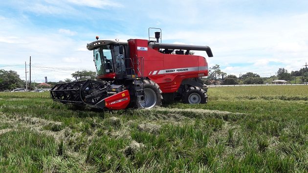 Todos los años surge en medio de la cosecha la incertidumbre por el pago de los $7.50 por quintal de arroz, lo cual puede ser superado con sacar el arroz de la regulación de precio.