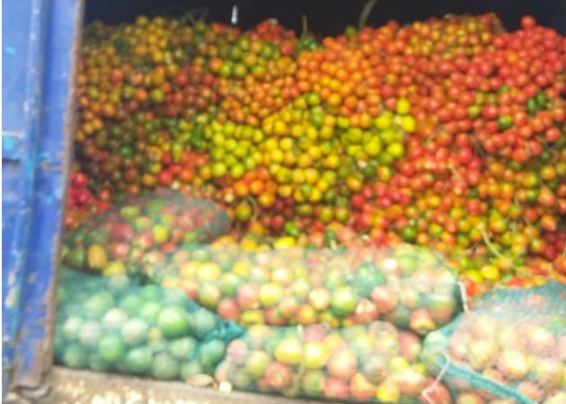 En Guabala, Tolé, un camión llevaba sacos de banano. Fotos: José Vásquez.