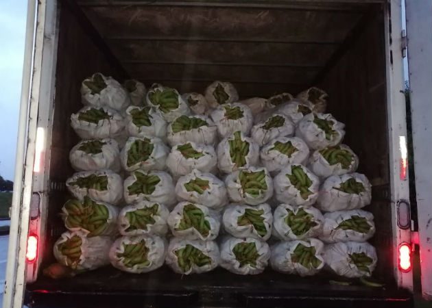 En Guabala, Tolé, un camión llevaba sacos de banano. Fotos: José Vásquez.