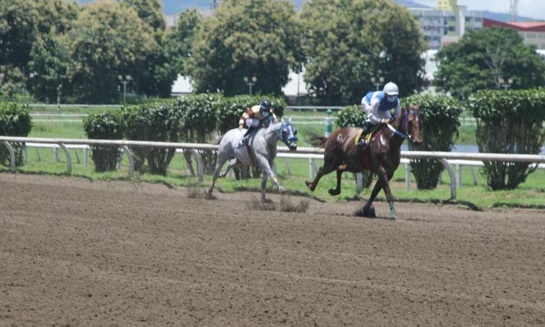 Las apuestas se realizarían en línea.