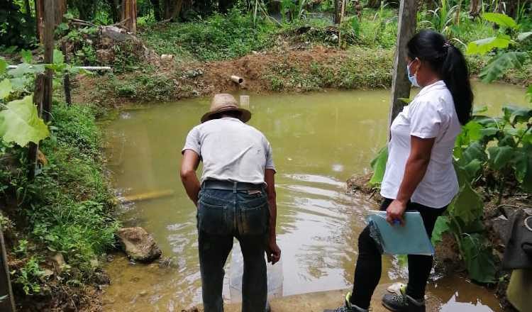 "Cosecha" de peces sería durante la primera semana de diciembre.