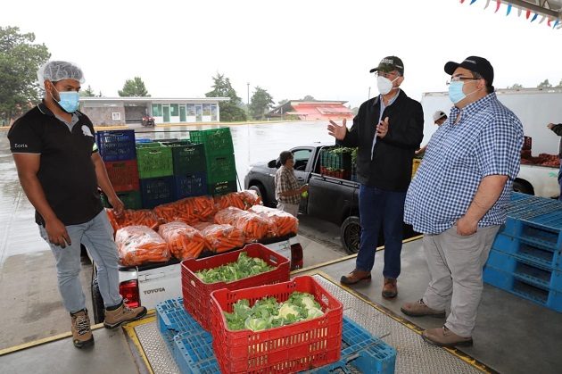 Mida y Cadena de Frío  verifican el empacado de los productos, para ser distribuidos en el Merca Panamá y otros mercados de abastos del país. Foto/Cortesía