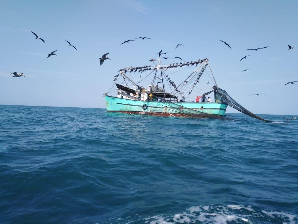 Capitanes de barcos llenarán bitácoras de pesca a partir de este año 2021. Foto: Cortesía.