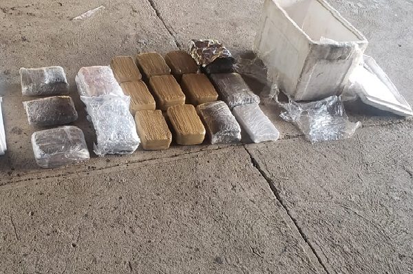 En el operativo de patrullaje también se incautaron 20 paquetes de hierba seca que se presume sea marihuana, las cuales estaban ocultas en dos hieleras.