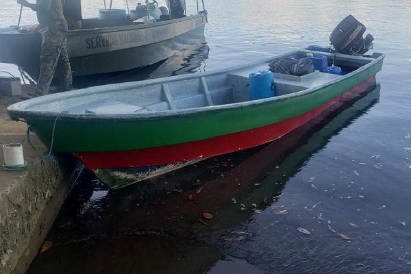 En el operativo de patrullaje también se incautaron 20 paquetes de hierba seca que se presume sea marihuana, las cuales estaban ocultas en dos hieleras.