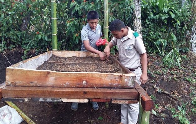  IPTA Monte Lirio fue seleccionado para este proyecto por pertenecer a una de las áreas más afectadas por los efectos indirectos de los huracanes Iota y ETA. Foto cortesía MiAmbiente