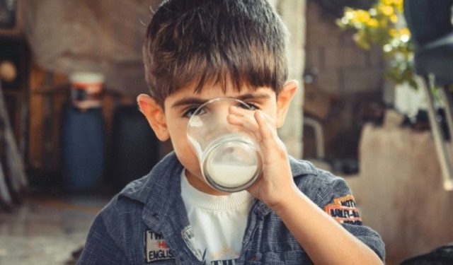 La leche y su inclusión en los programas de alimentación escolar. Foto: Ilustrativa / Pixabay