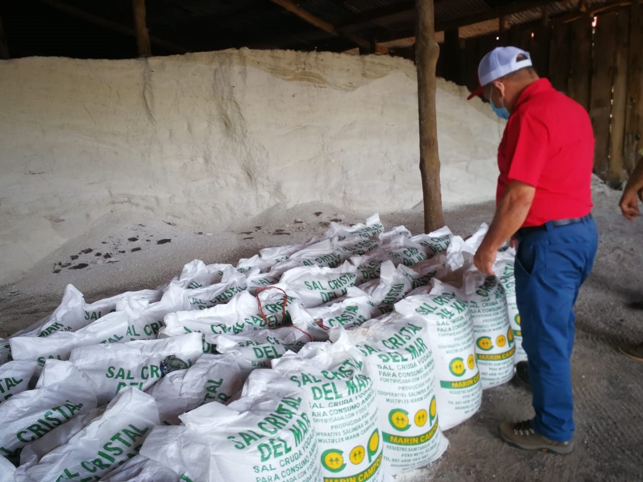 Los primeros quintales de sal cruda serán distribuidos a los ganaderos del país. Foto: Eric A. Montenegro