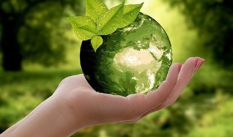 Actividad por la Tierra.  Pixabay