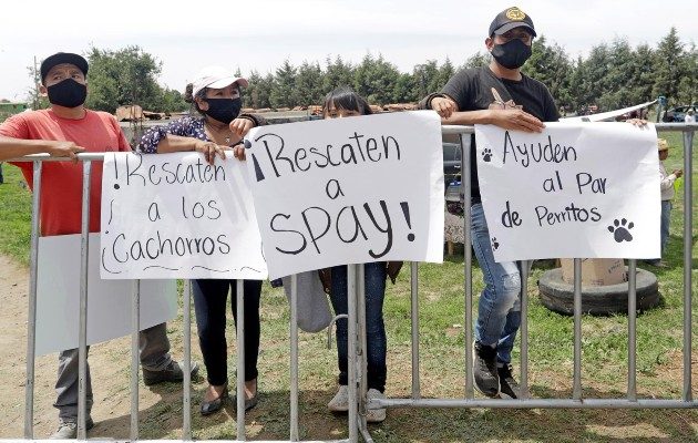 Socavón en México supera los 120 metros de diámetro y los 50 metros de profundidad. Foto: EFE