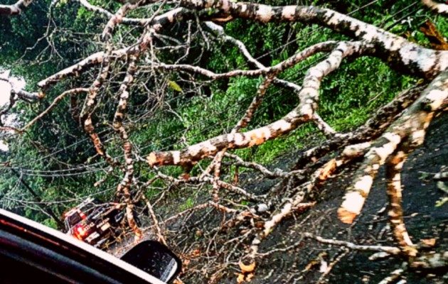 Además de las inundaciones, se dieron voladuras de techo y caída de árboles. Foto: Diomedes Sánchez