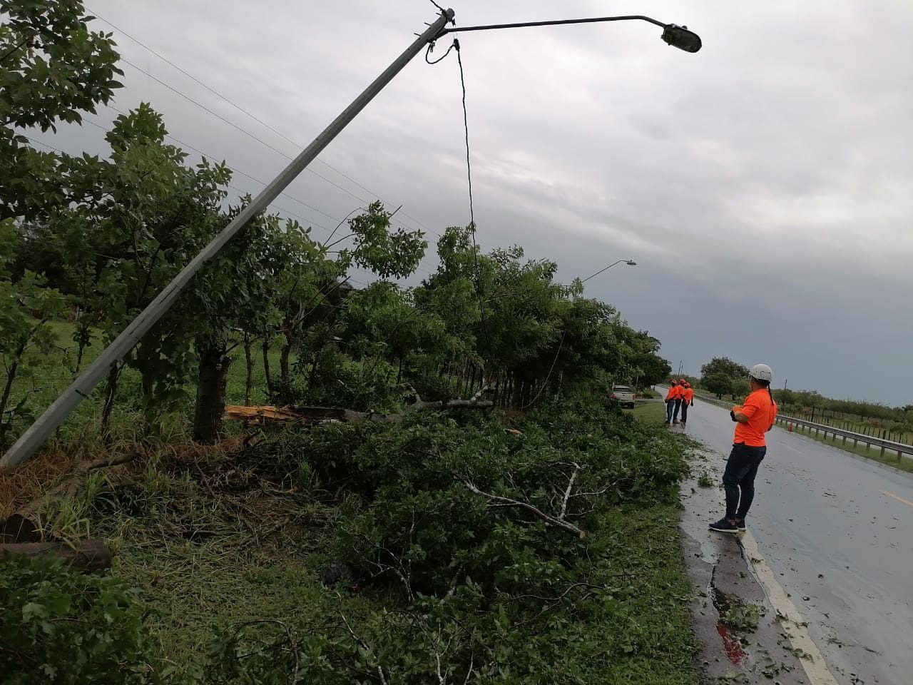 Se registraron daños de consideración en el sistema eléctrico de Azuero. Foto: Thays Domínguez