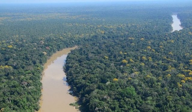 Río Algodón que fluye en un bosque de la cuenca del Amazonas en el remoto rincón noreste de Perú.  Foto: Cortesía / Álvaro del Campo