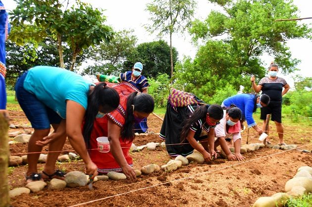 Las mujeres que acompañan a Jeny Jaramillo en la “Granja Las Delicias" son oriundas de la comarca Ngäbe-Buglé. Foto: Cortesía Mides