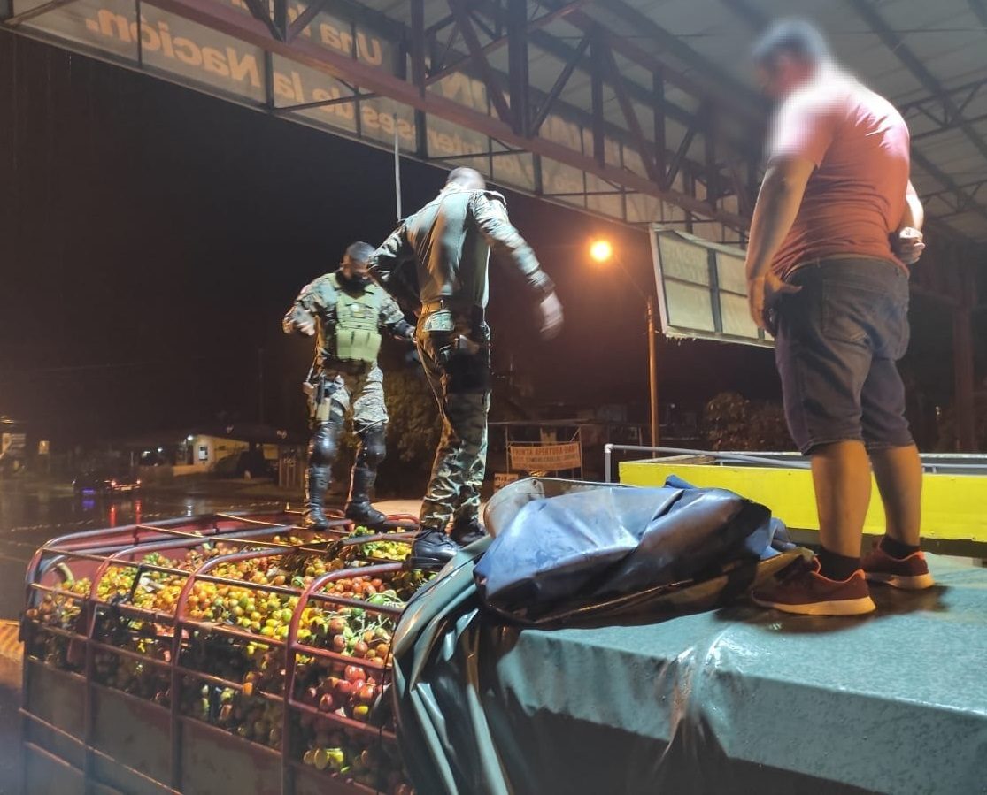 El vehículo con el cargamento de pixbae tenía placa panameña. Foto: Mayra Madrid