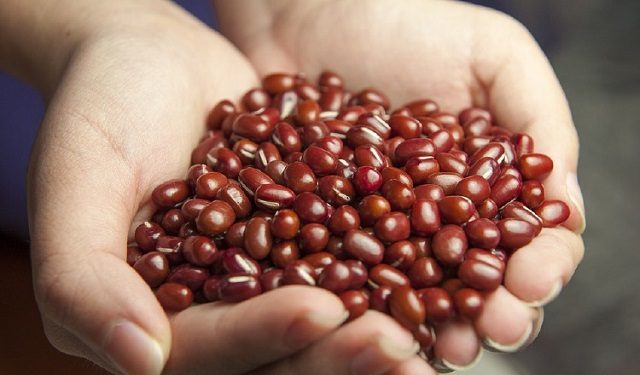 Los frijoles son una fuente de calcio. Foto: Ilustrativa / Pixabay
