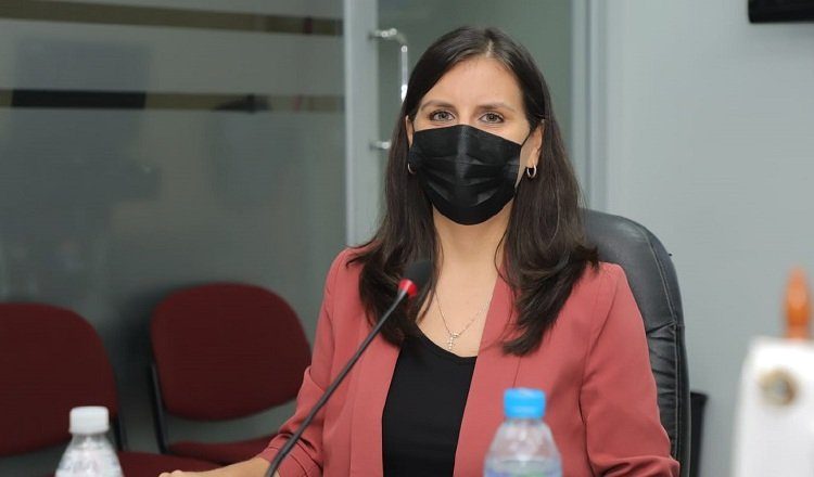 La directora de la Senniaf, Gabriela Mauad, sustentó el presupuesto para el próximo año, que incluye tres centros de atención a niños.
