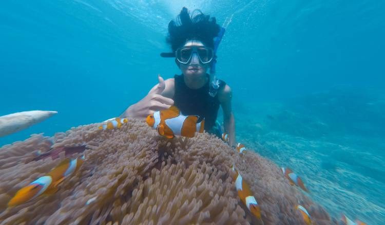 Quienes practican buceo tienen la responsabilidad de cuidar el patrimonio submarino en cada inmersión. Ilustrativa / Pexels