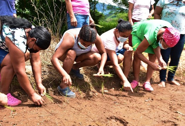 Un grupo de 40 mujeres rurales asiste a la Escuela Campo "Una Luz en el Camino". Foto: Cortesía Mides