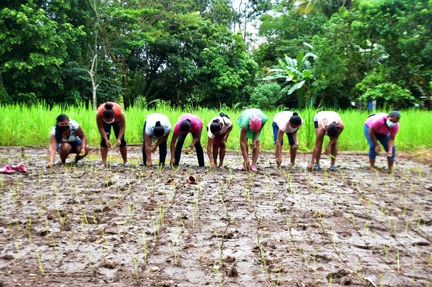 "Una Luz en el Camino" está ubicada en la apartada comunidad de Río Chique Quije, en la provincia de Coclé. Foto: Cortesía Mides