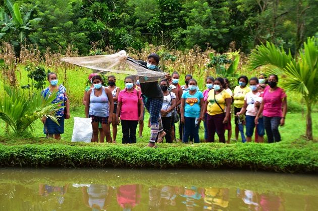 La escuela cuenta con cuatro tinas de tilapias. Foto: Cortesía Mides
