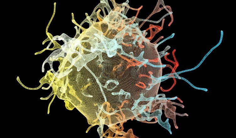 OMS lanza estrategia contra la meningitis para salvar más de 200 mil vidas al año.  Pixabay